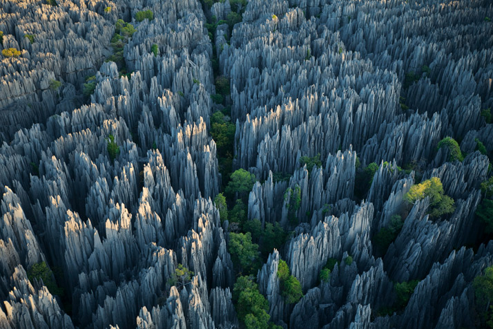 Is there Life At Stone Forest, Madagascar?